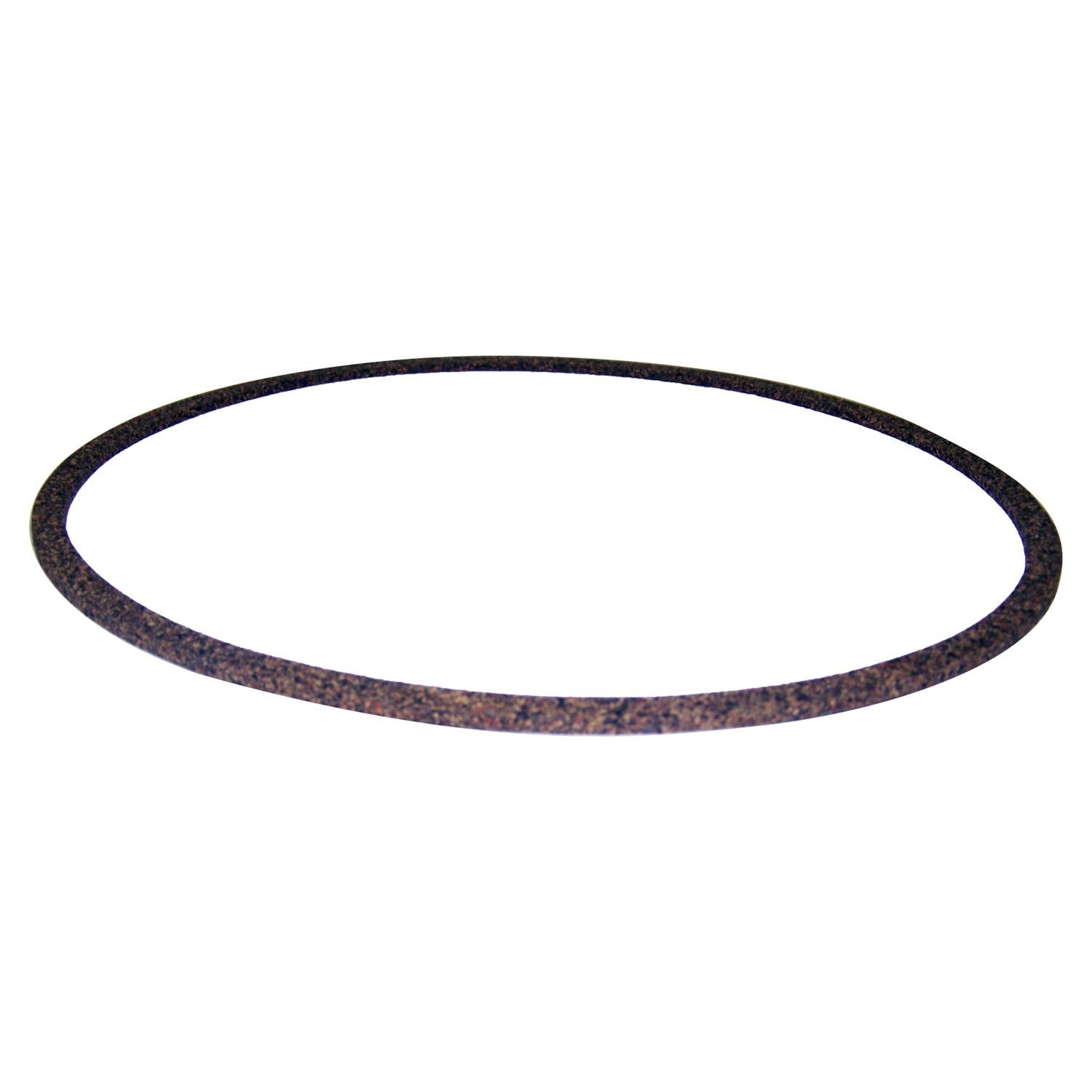 Differential Cover Gasket, Rear, AMC 20